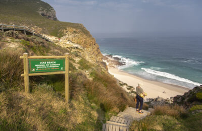 033_CapePoint_TCunniffe_Aug2019