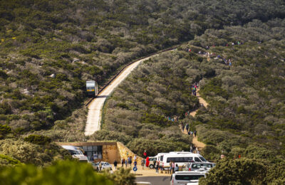 053_CapePoint_TCunniffe_Aug2019