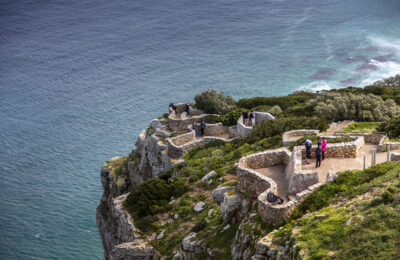 098_CapePoint_TCunniffe_Aug2019