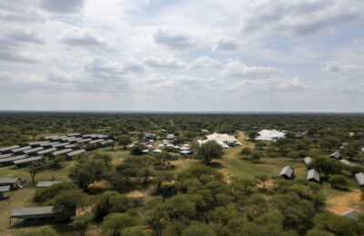 20231103CJPSA-JPalmaryCHIEFSDINOKENG-36_1280x960