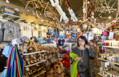 CapePoint_TCunniffe_040