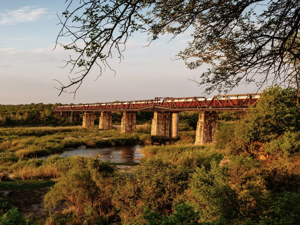 Kruger Shalati