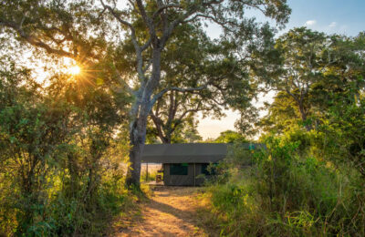 Kruger Untamed Tshokwane River Camp- Kyle Lewin-18